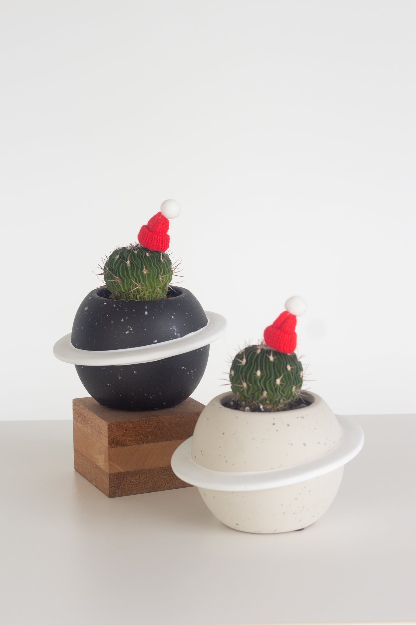 Festive Brain Cactus