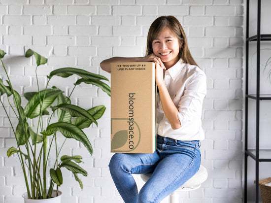 Our innovative packaging allow us to deliver to whole of Peninsular Malaysia, while ensuring your plant arrives in its best condition, without the mess.