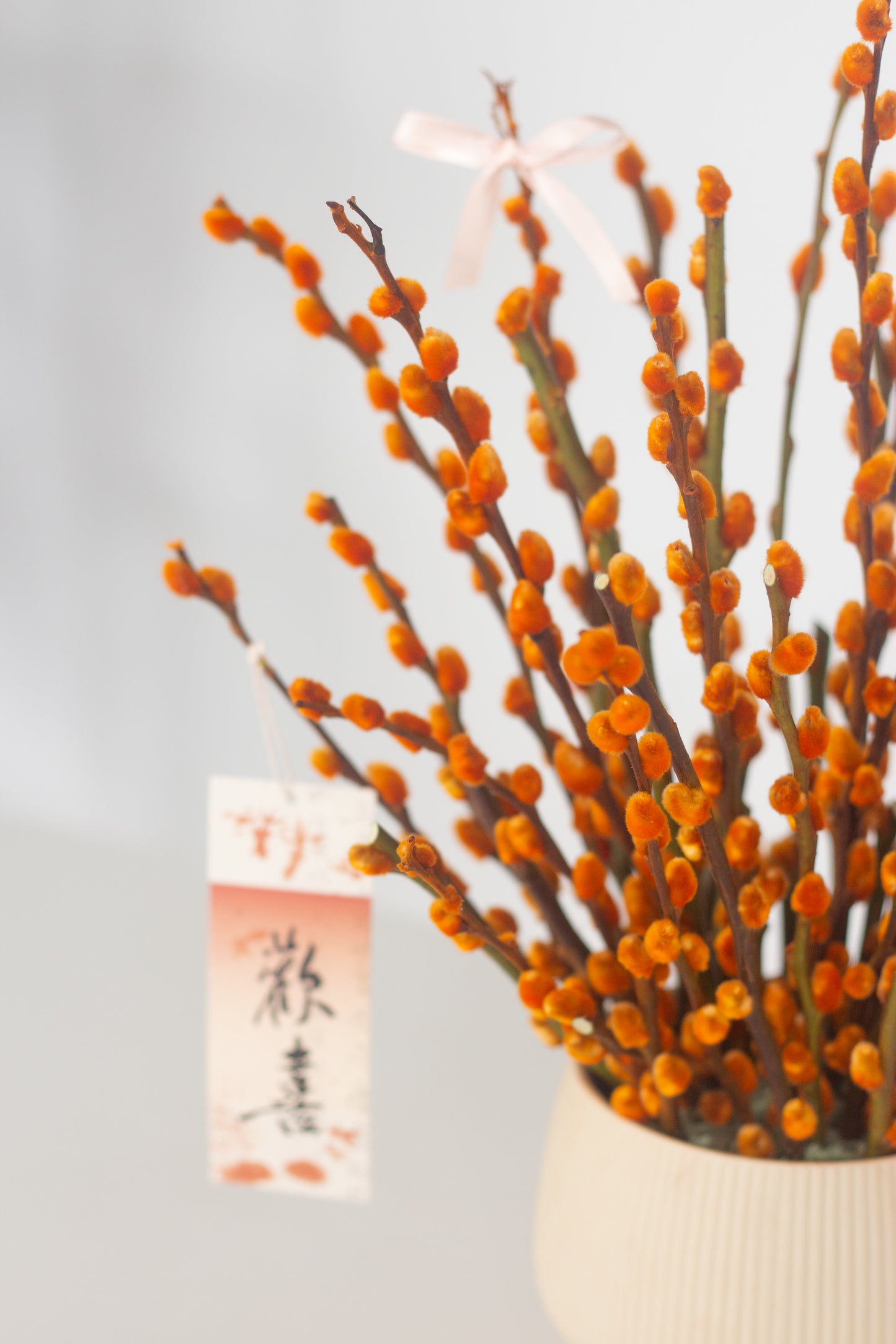 Tangerine Willow