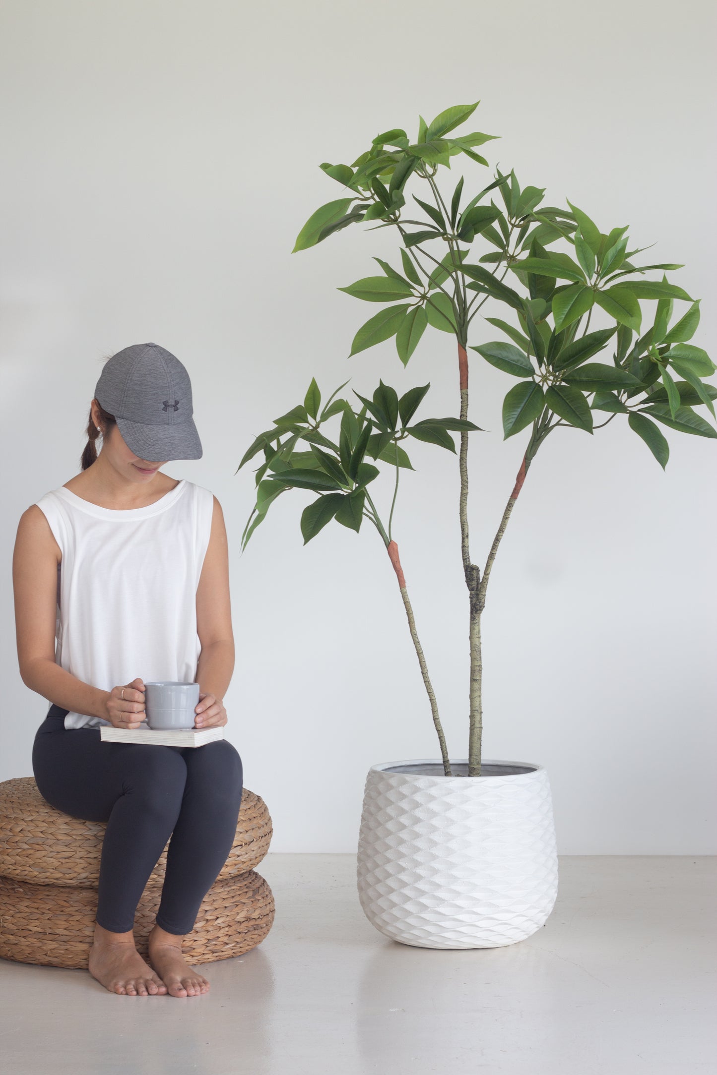 Faux Money Tree