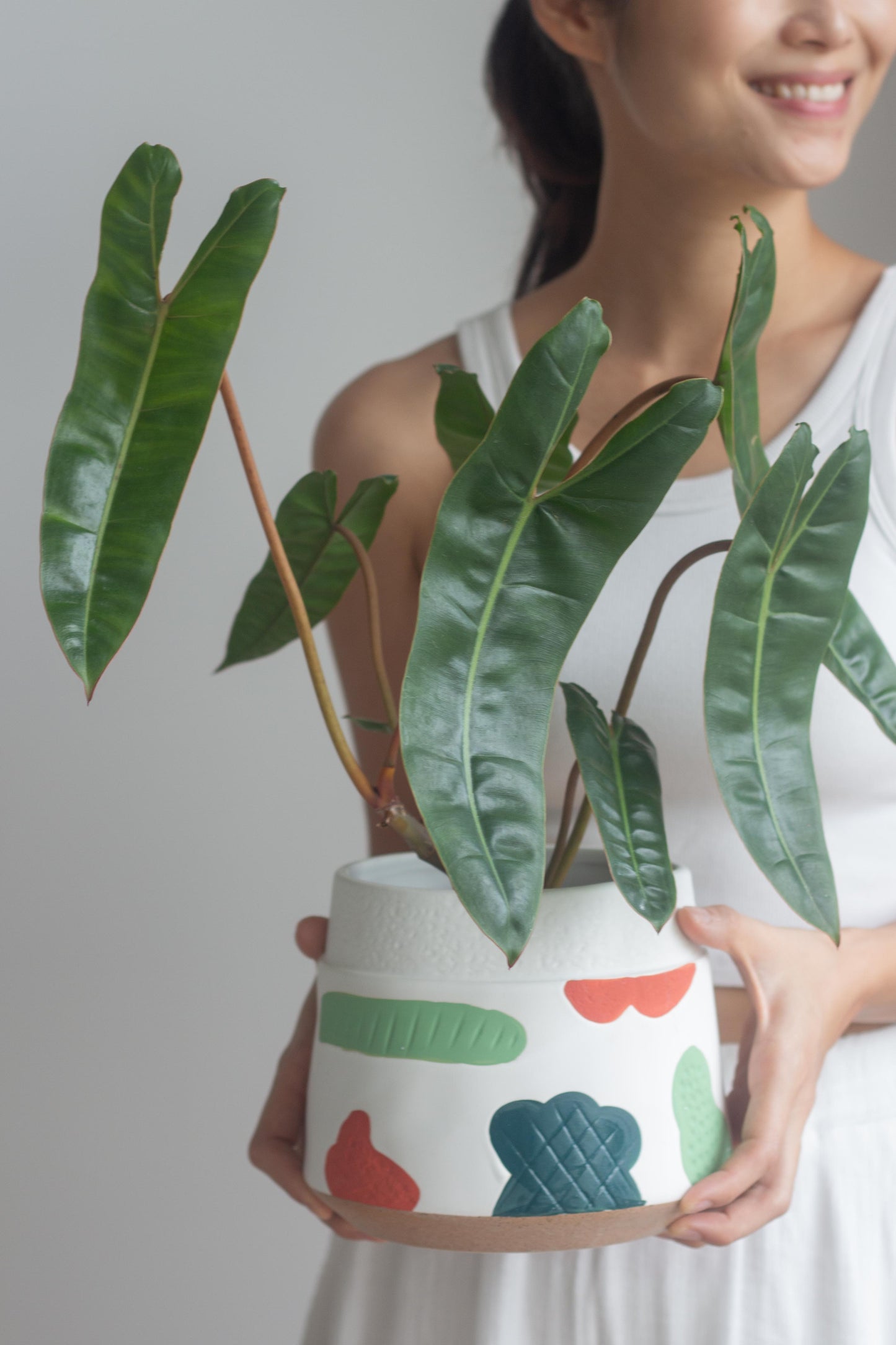 Philodendron Billietiae