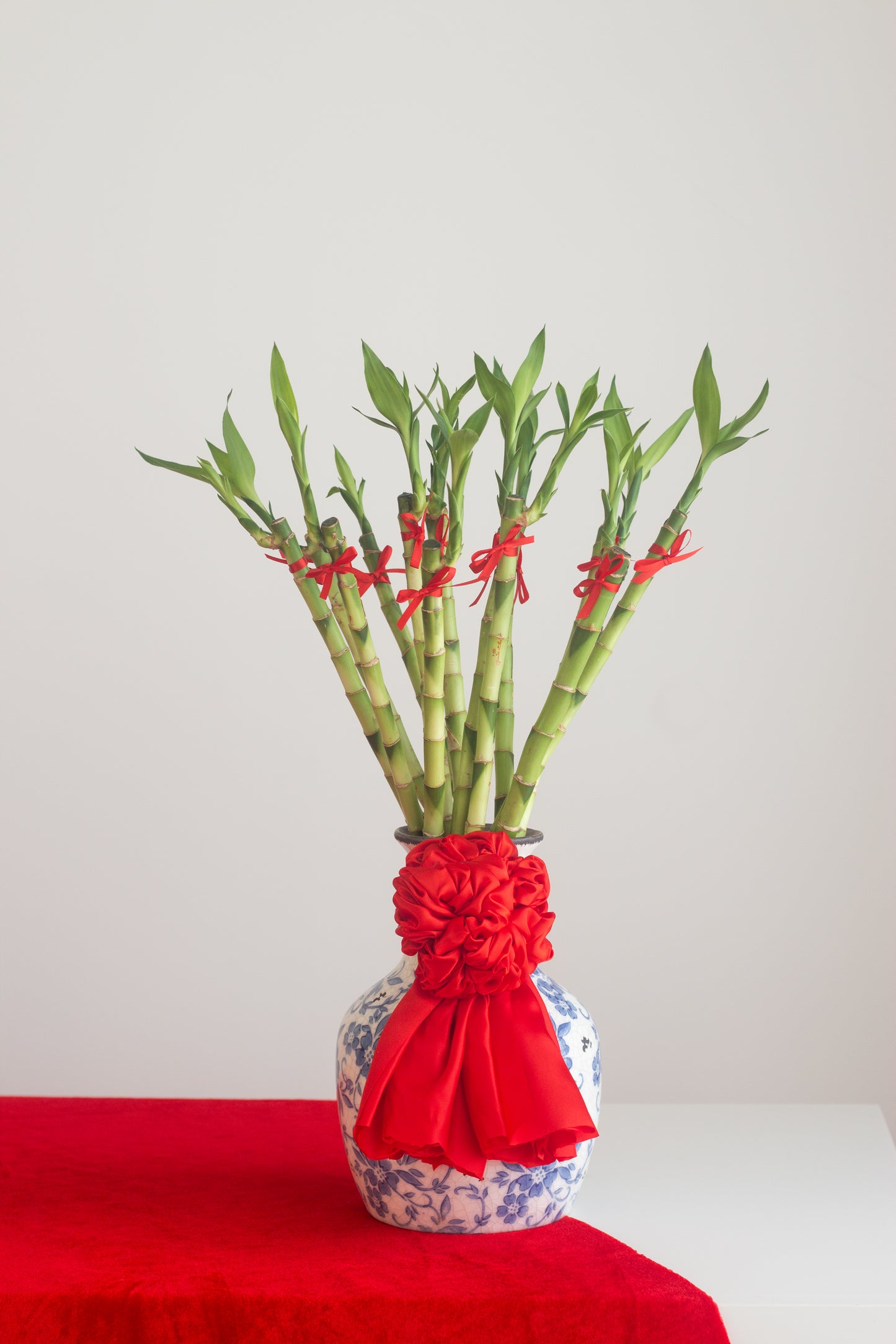 Prosperous Lucky Bamboo