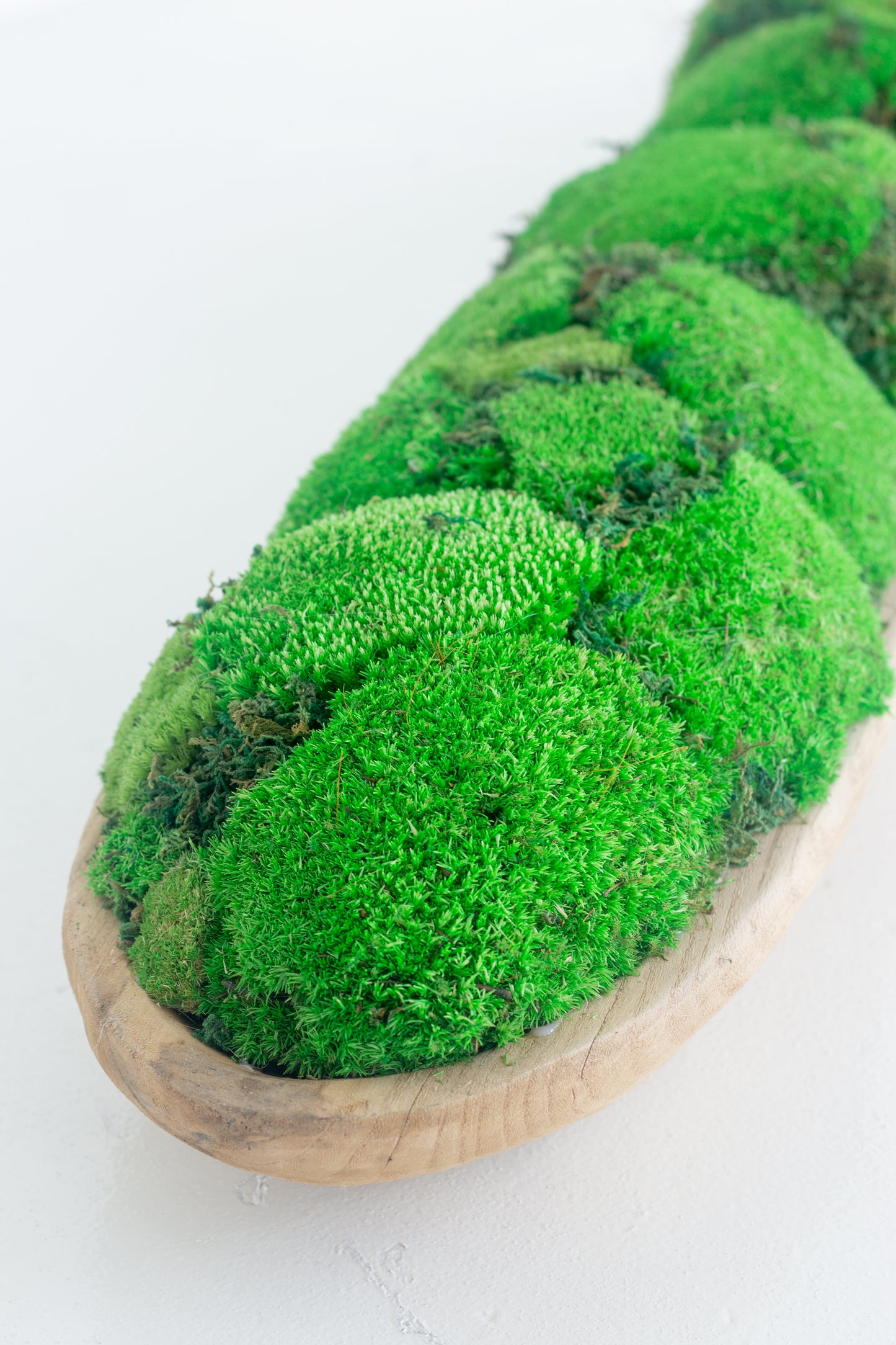 Narrabeen Moss Decor