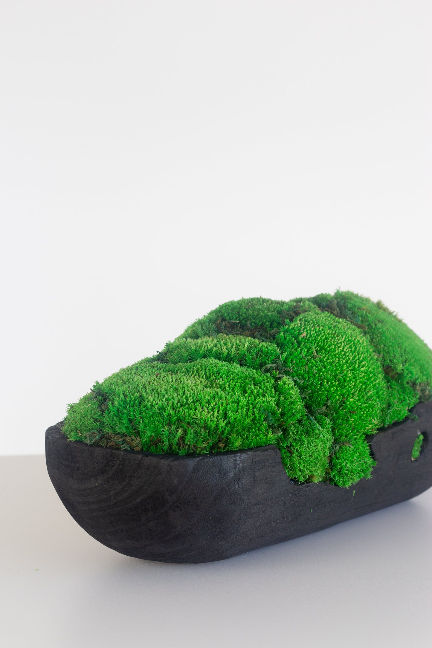 Charcoal Moss Decor