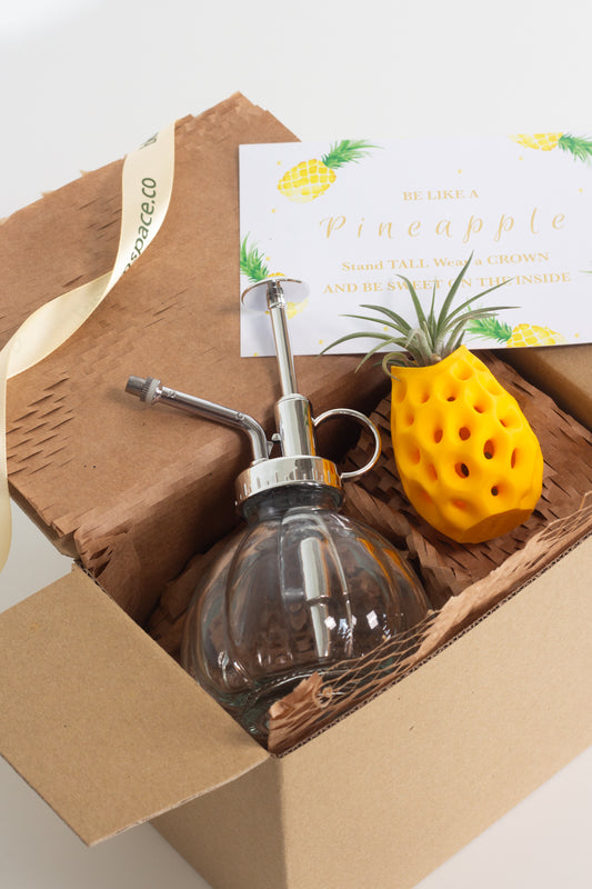 Airplant Pineapple