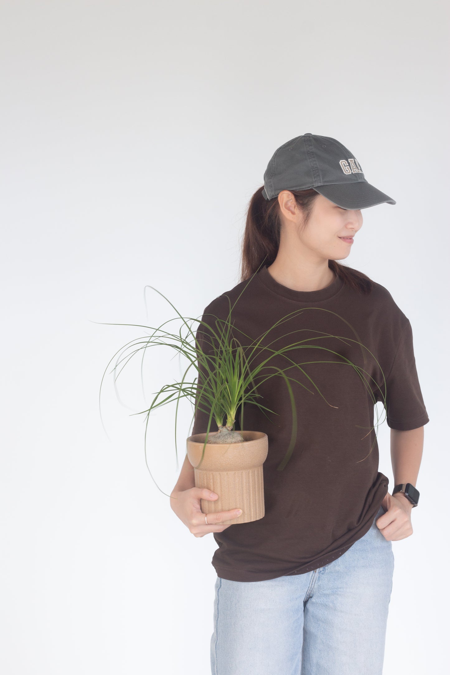 Ponytail Palm