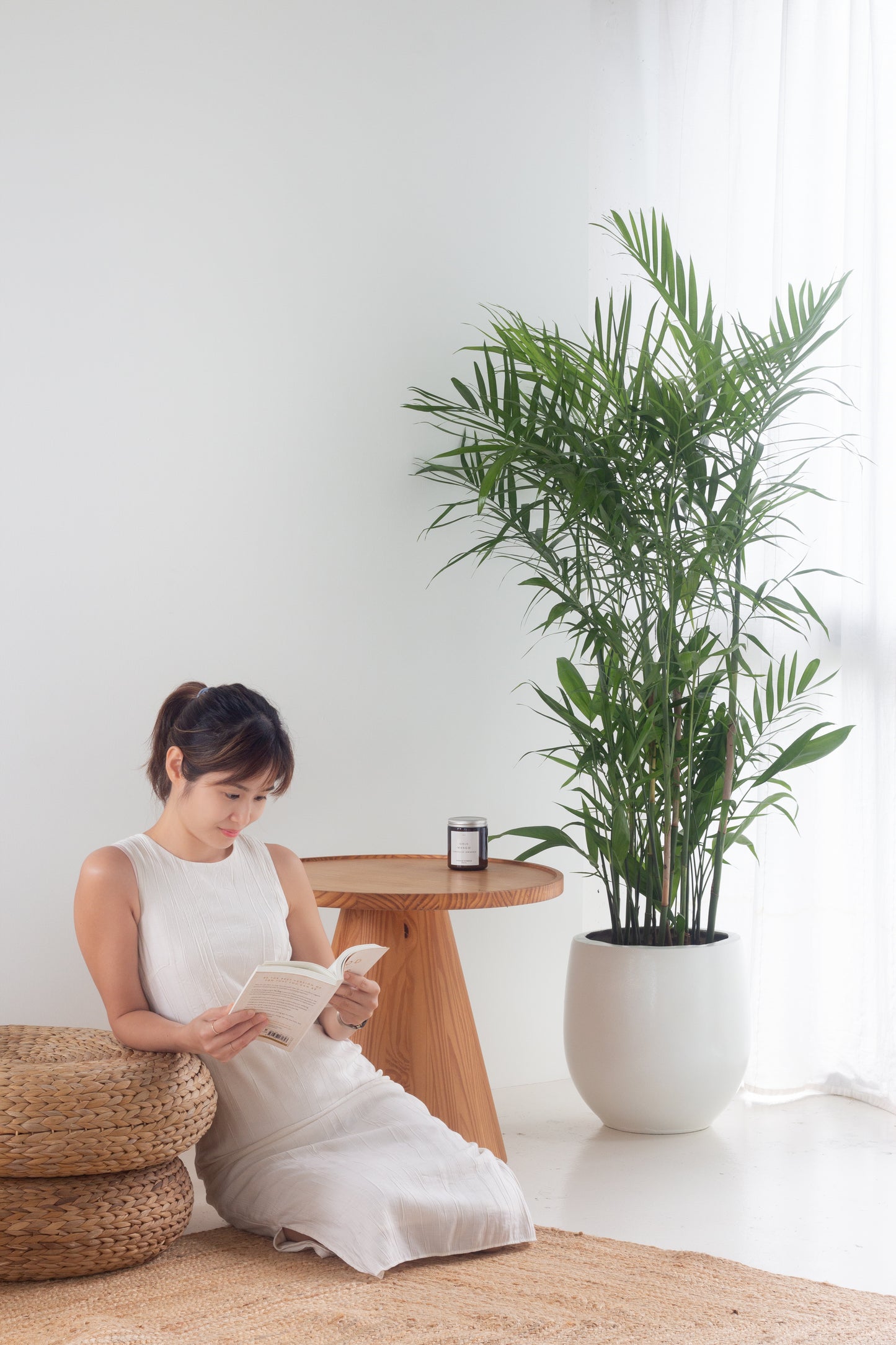 Bamboo Palm