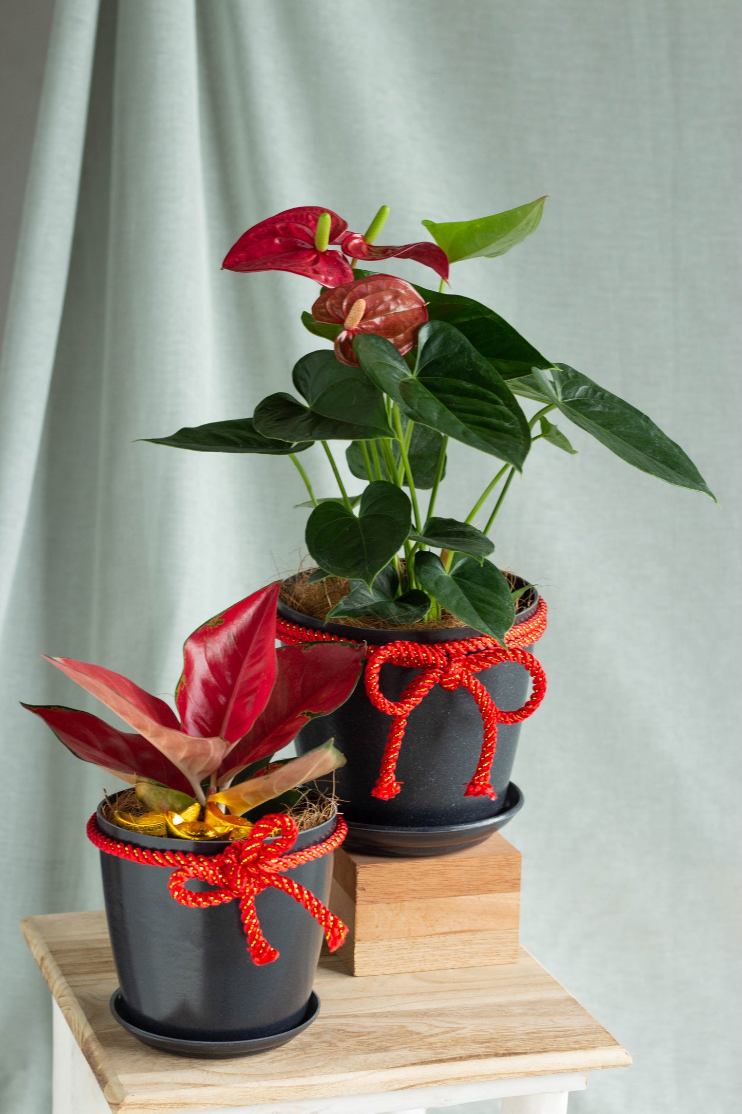 Auspicious Red Set