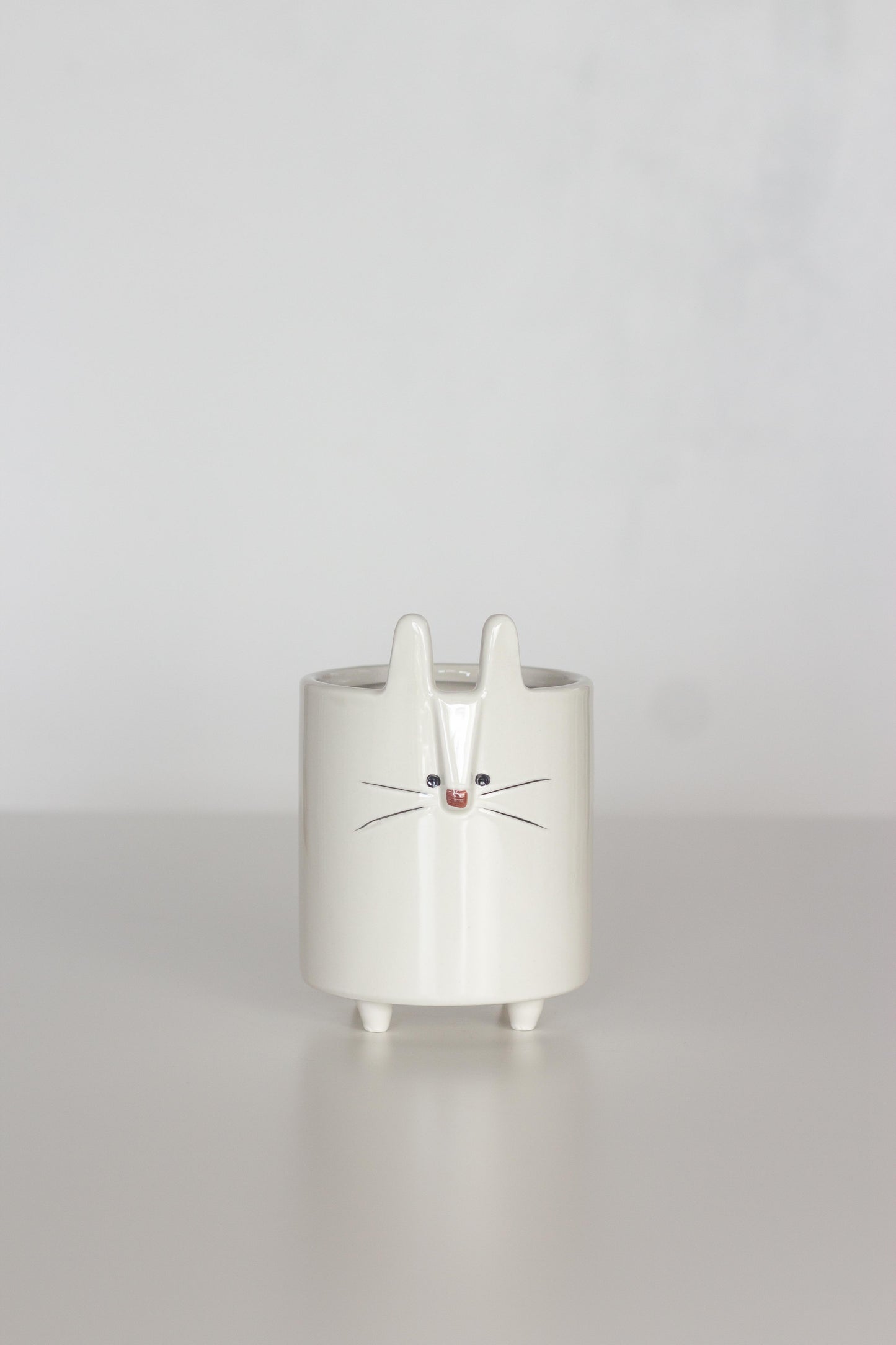 Cute Rabbit Planter