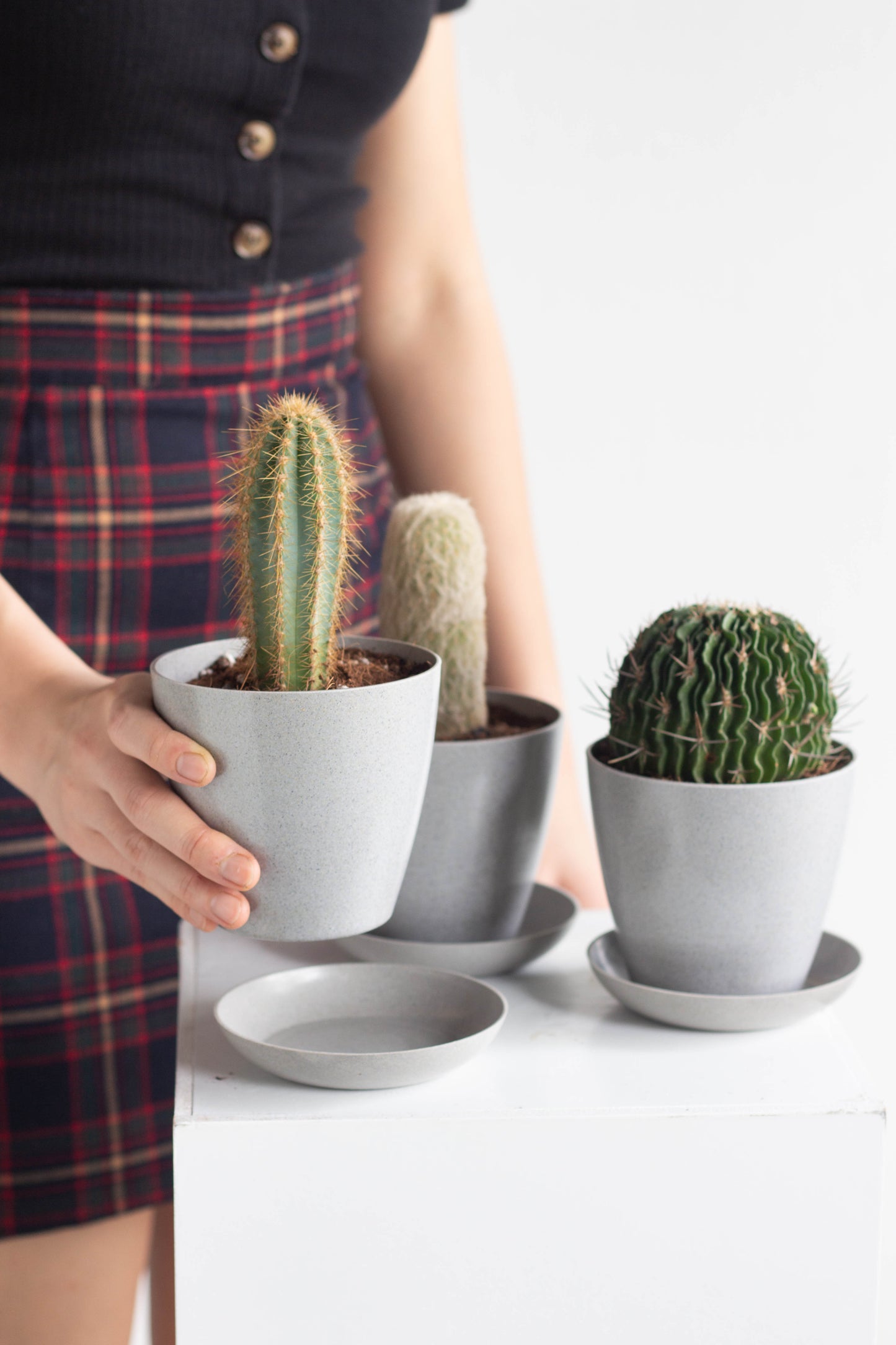Wisemen Cacti Set