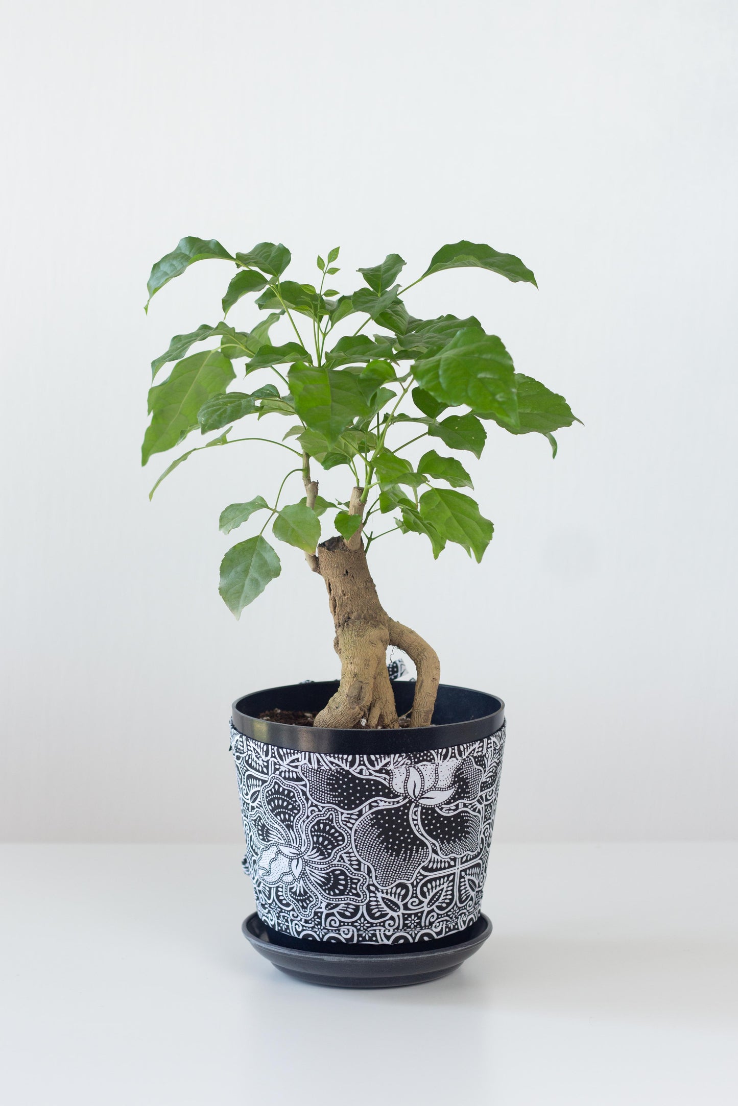 Pot Sleeves by Sarong Pasu