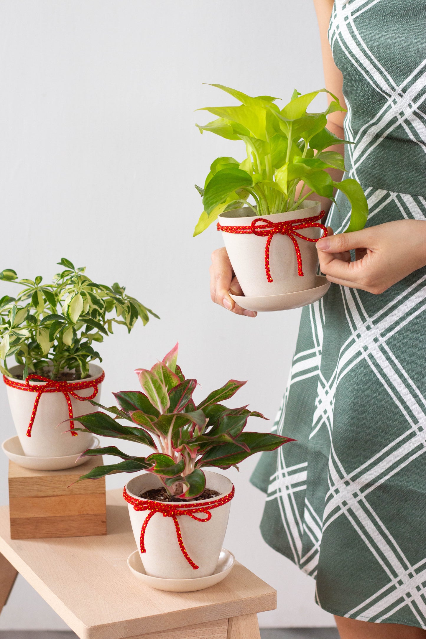 Joyous Spring Set