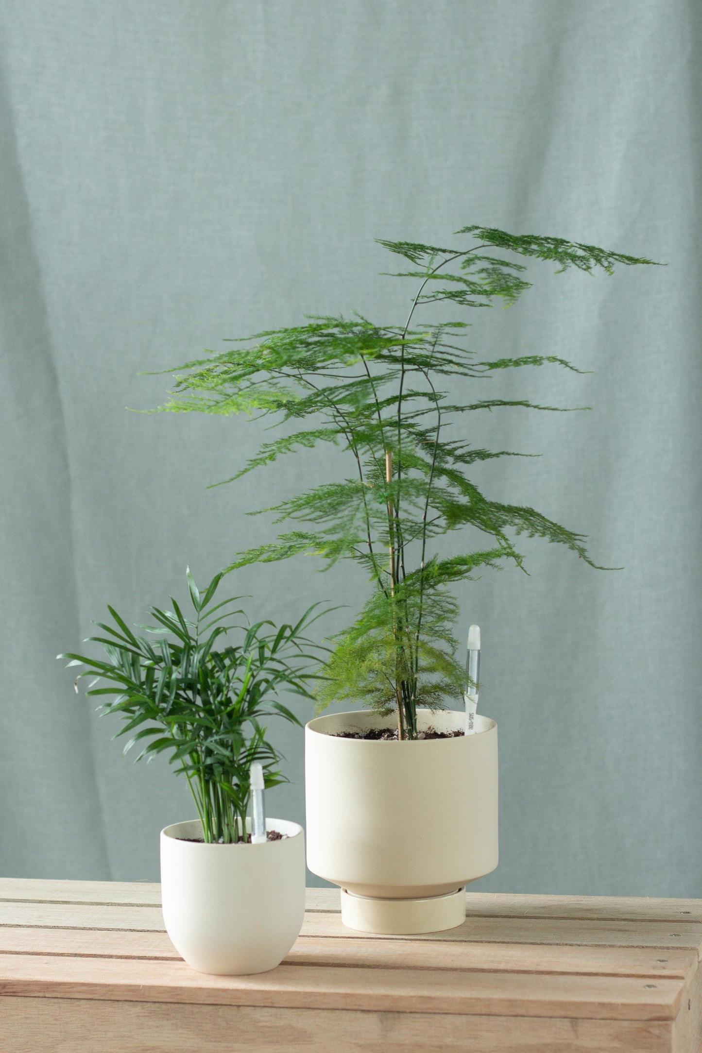 Layered Leaf Set