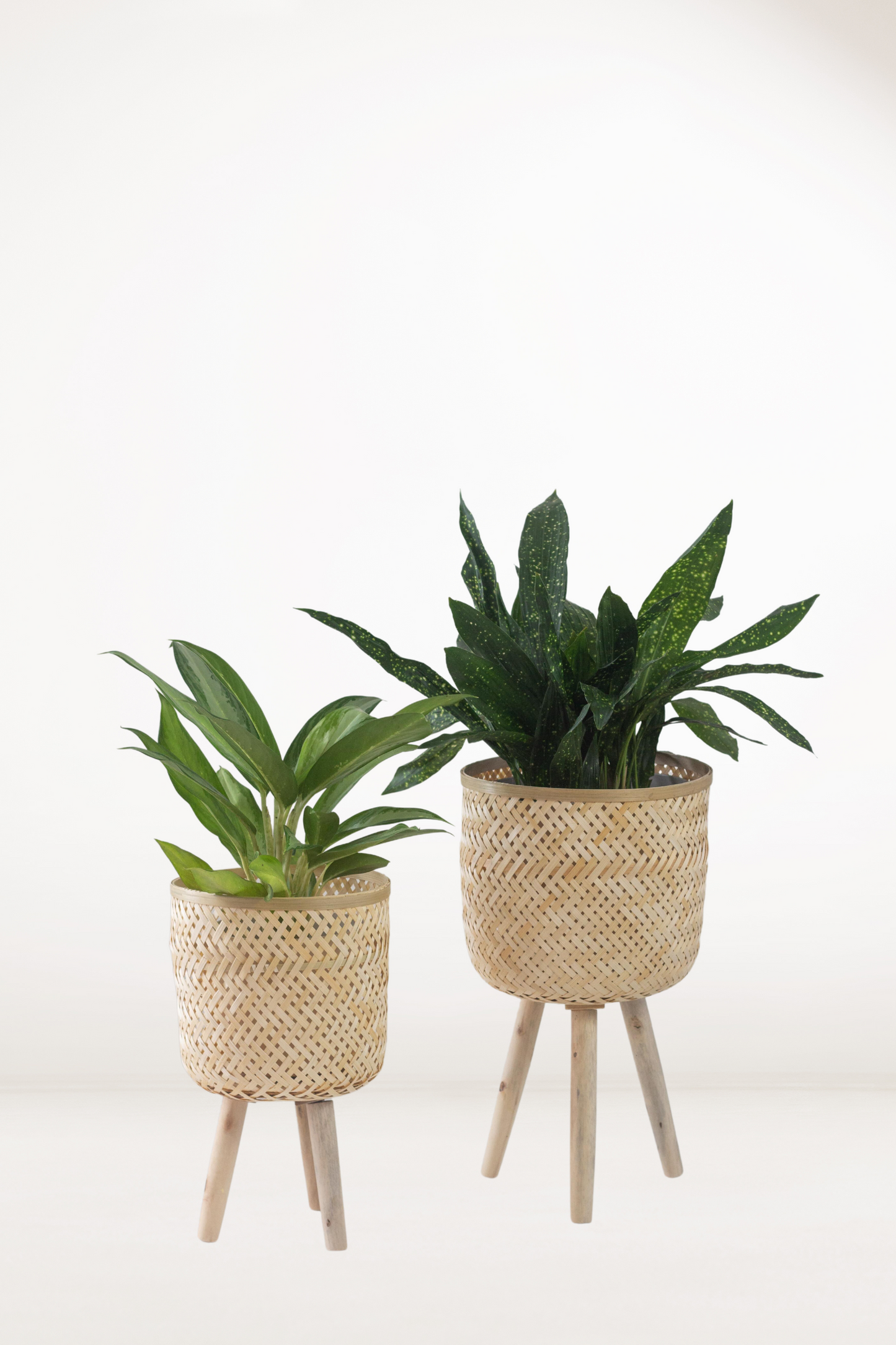 Raya Flora Basket