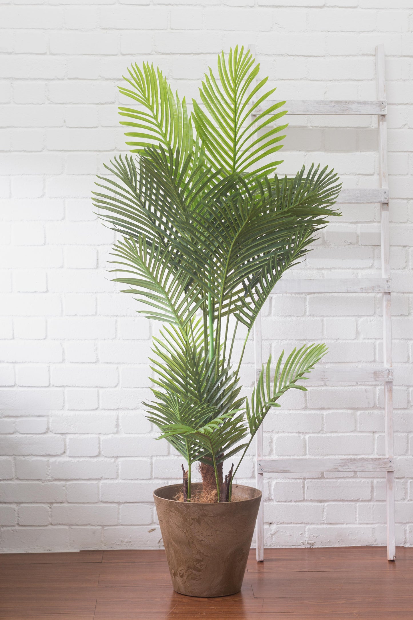 Faux Areca Palm