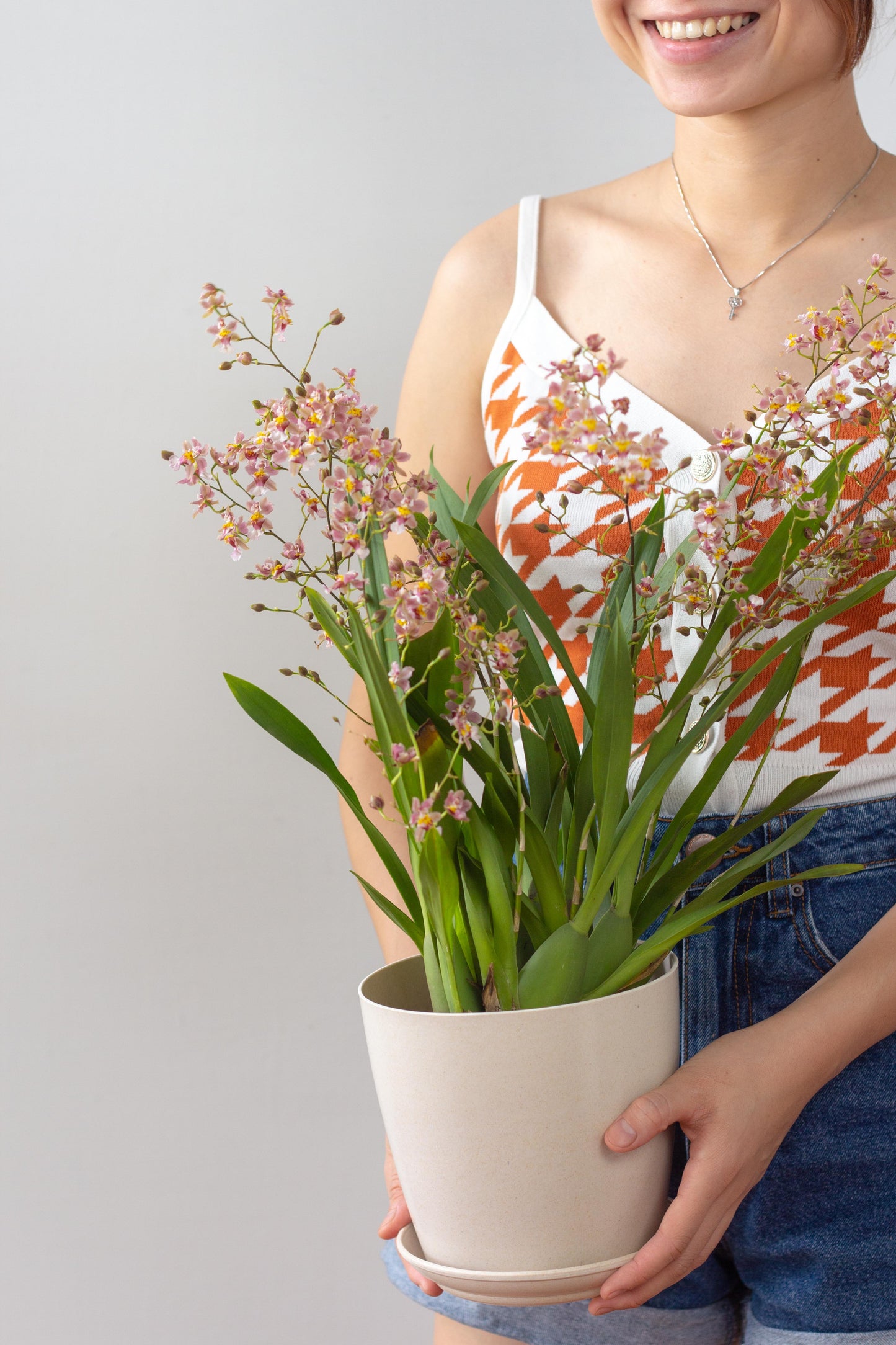 Oncidium Orchid
