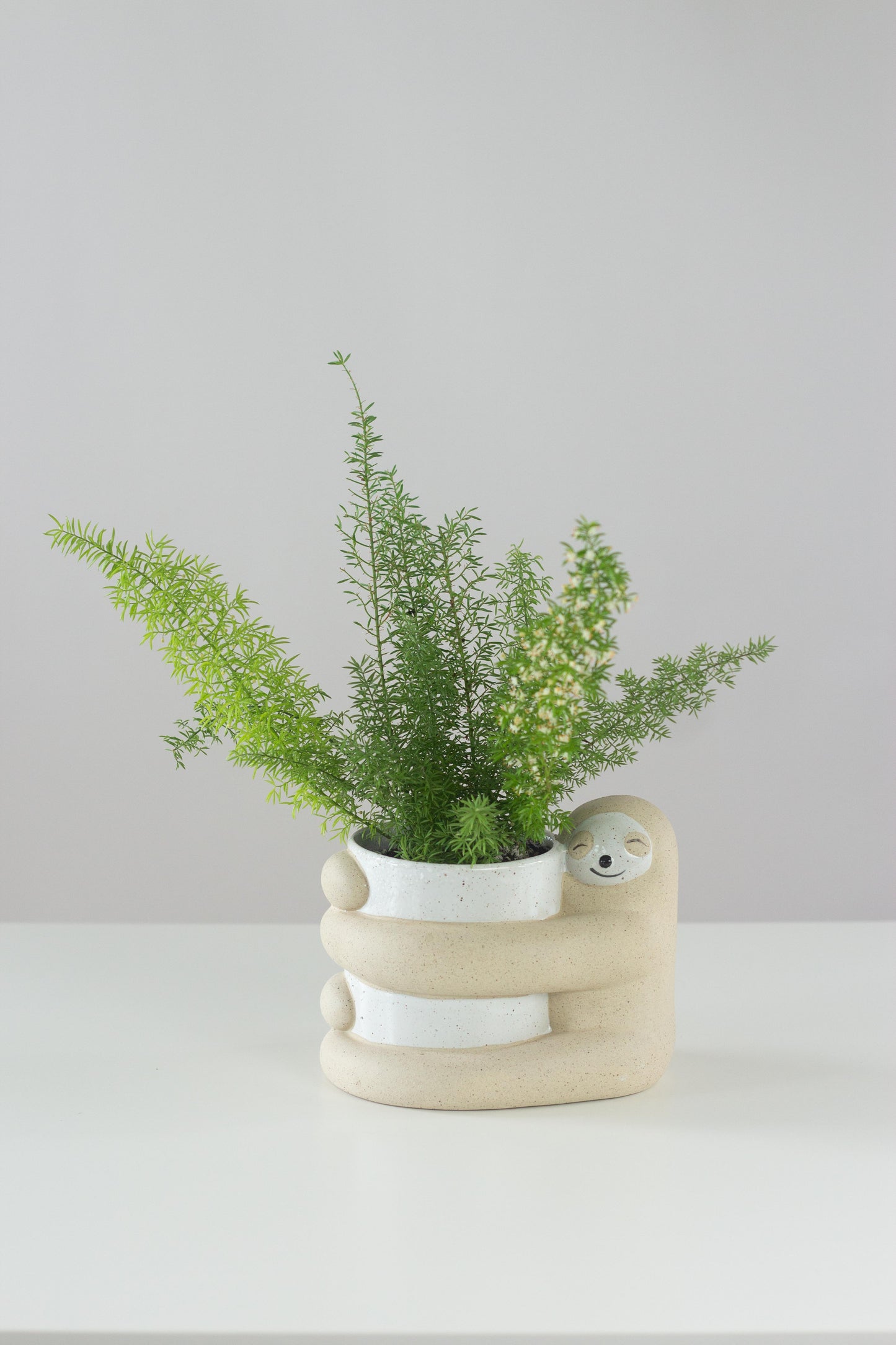 Sloth Hugger Planter