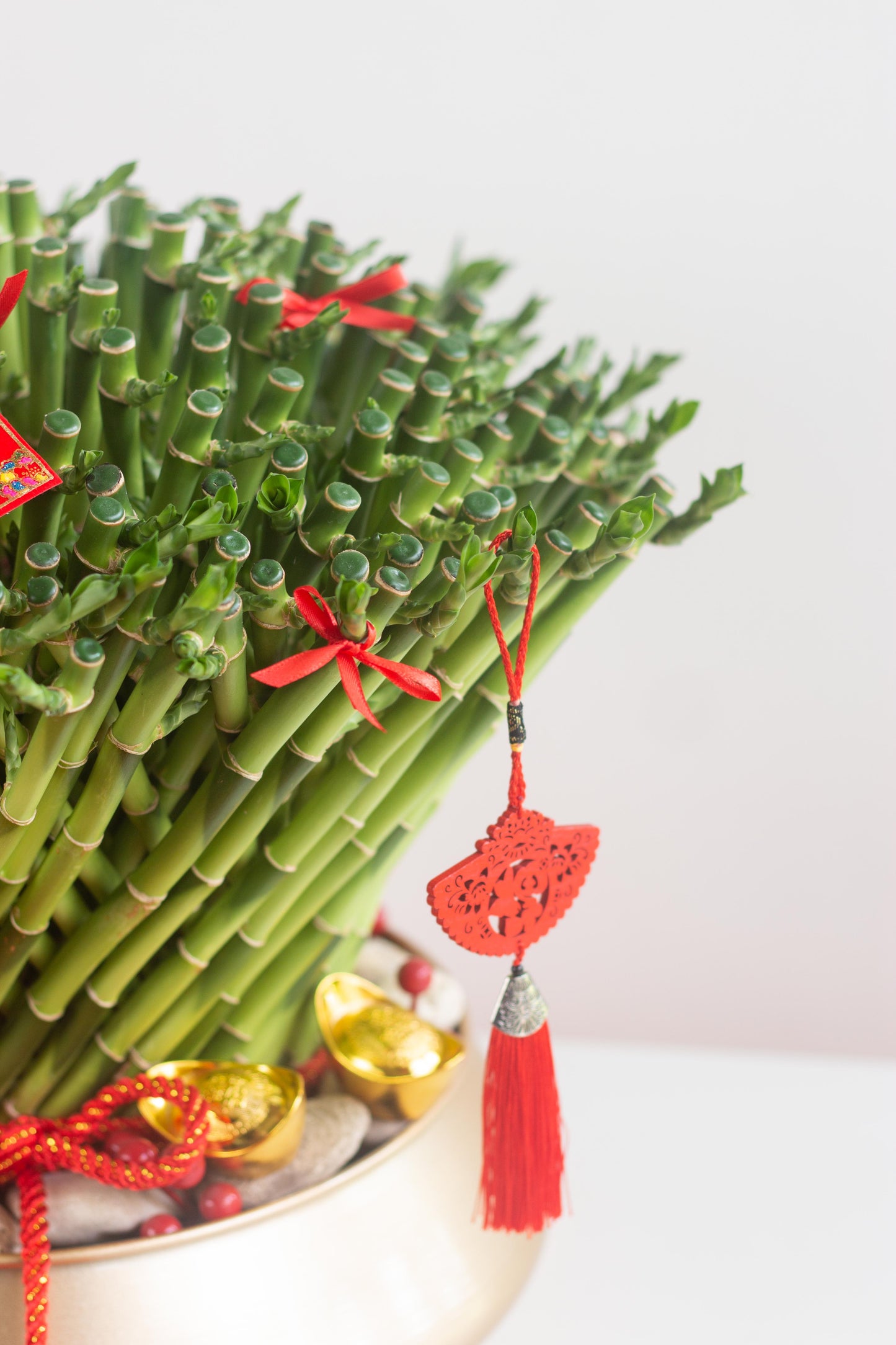 Prosperous Lucky Bamboo
