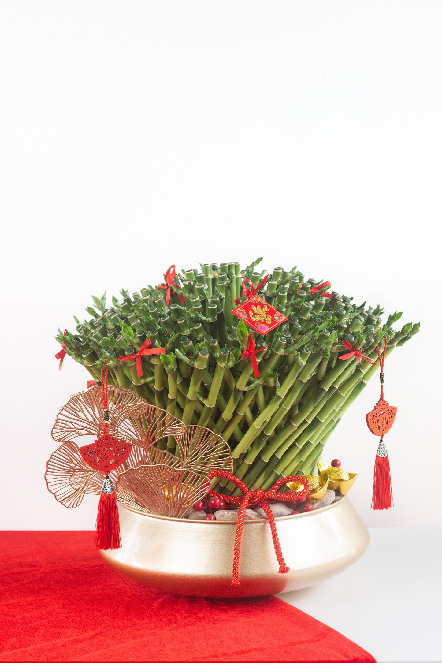 Prosperous Lucky Bamboo