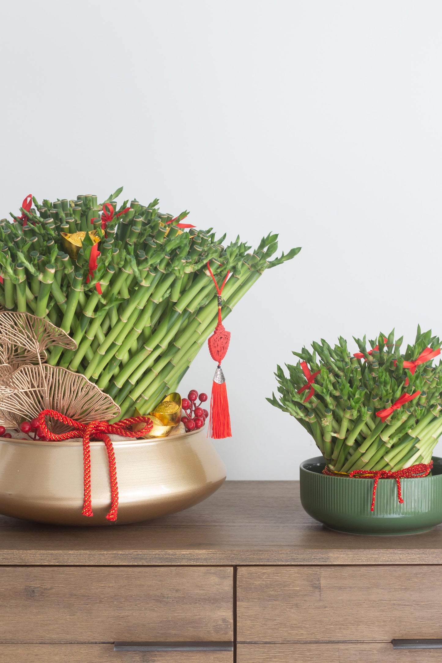 Prosperous Lucky Bamboo