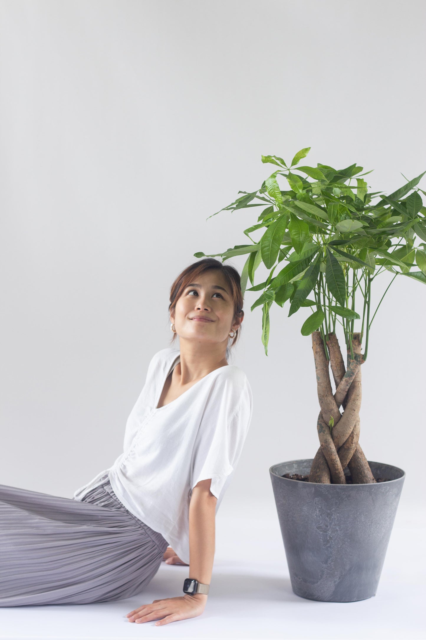 Braided Money Tree