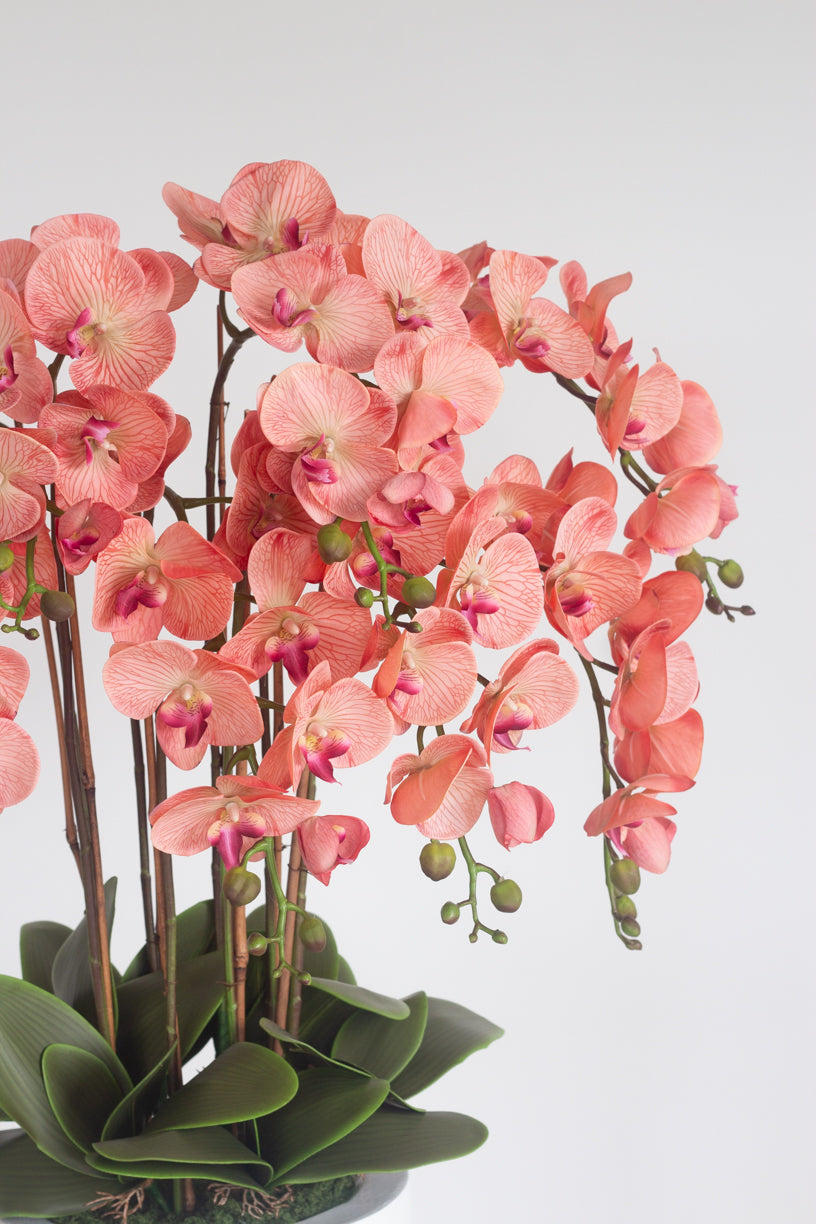 Faux Bloom Orchid