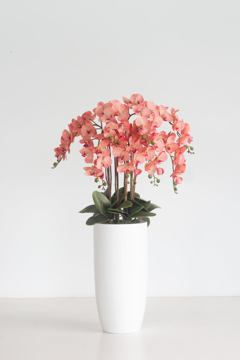 Faux Bloom Orchid