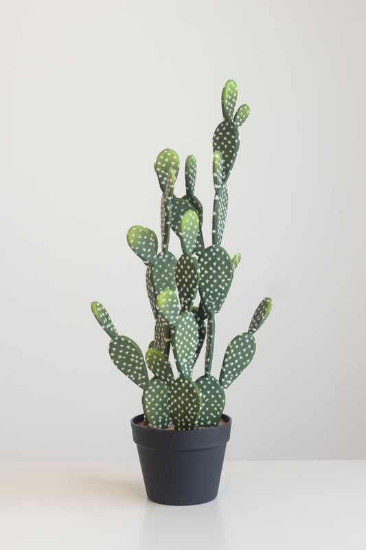 Faux Prickly Pear Cactus