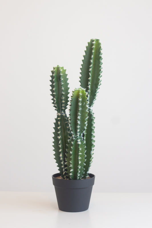 Faux Fairy Cactus