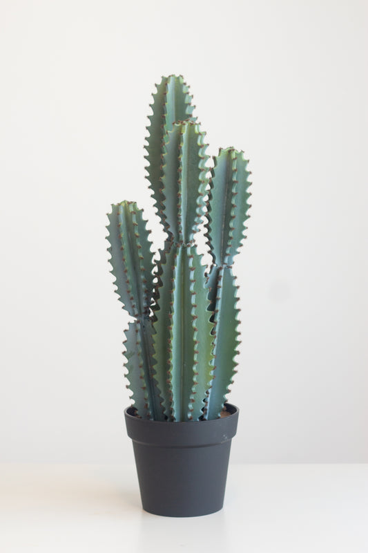 Faux Blue Cactus