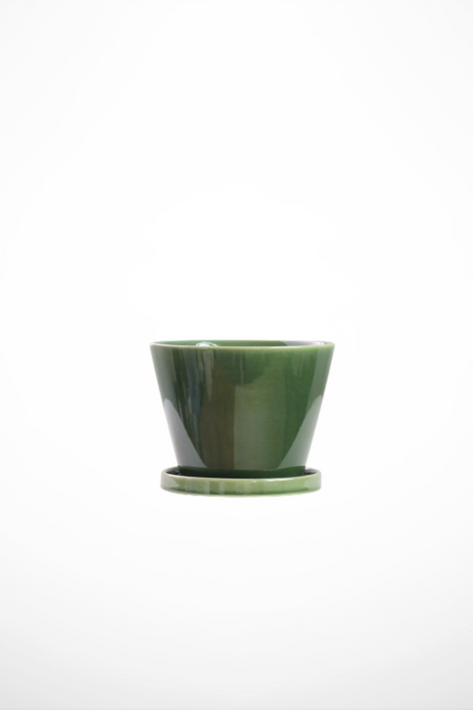 Anatoli Planter