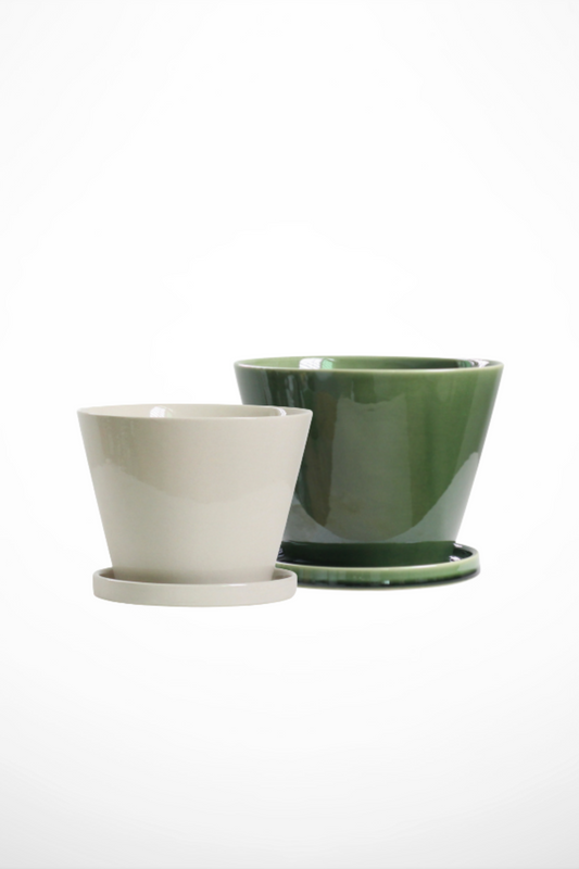 Anatoli Planter