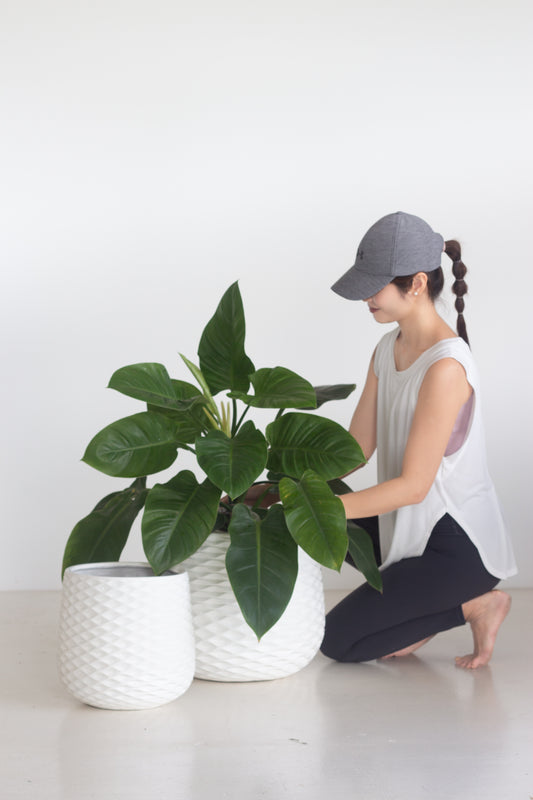 Ornos Planter