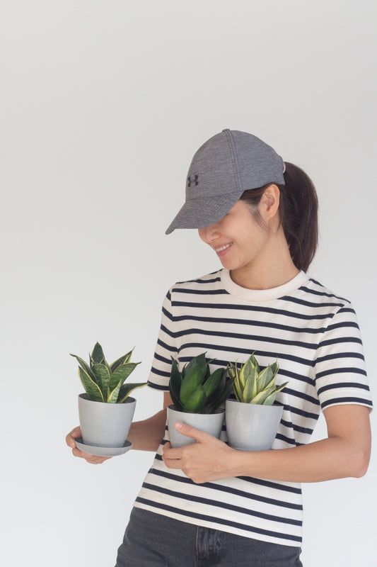 The Three Musketeers