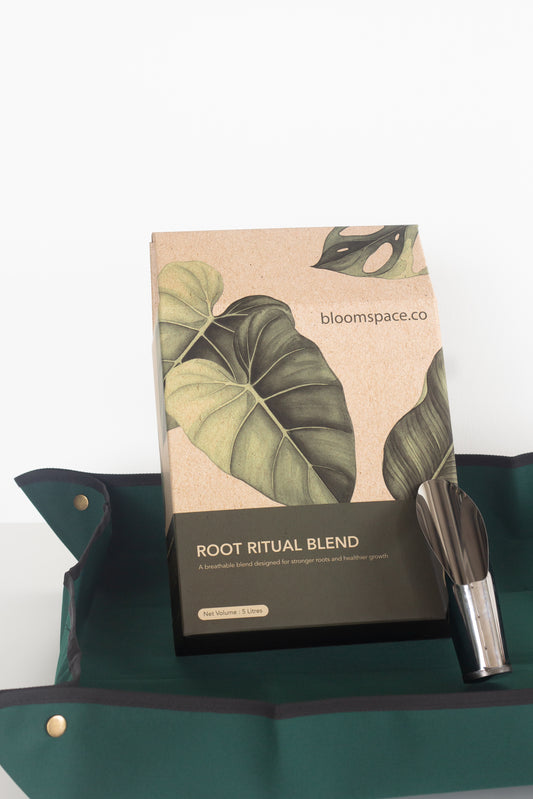 Repotting Kit