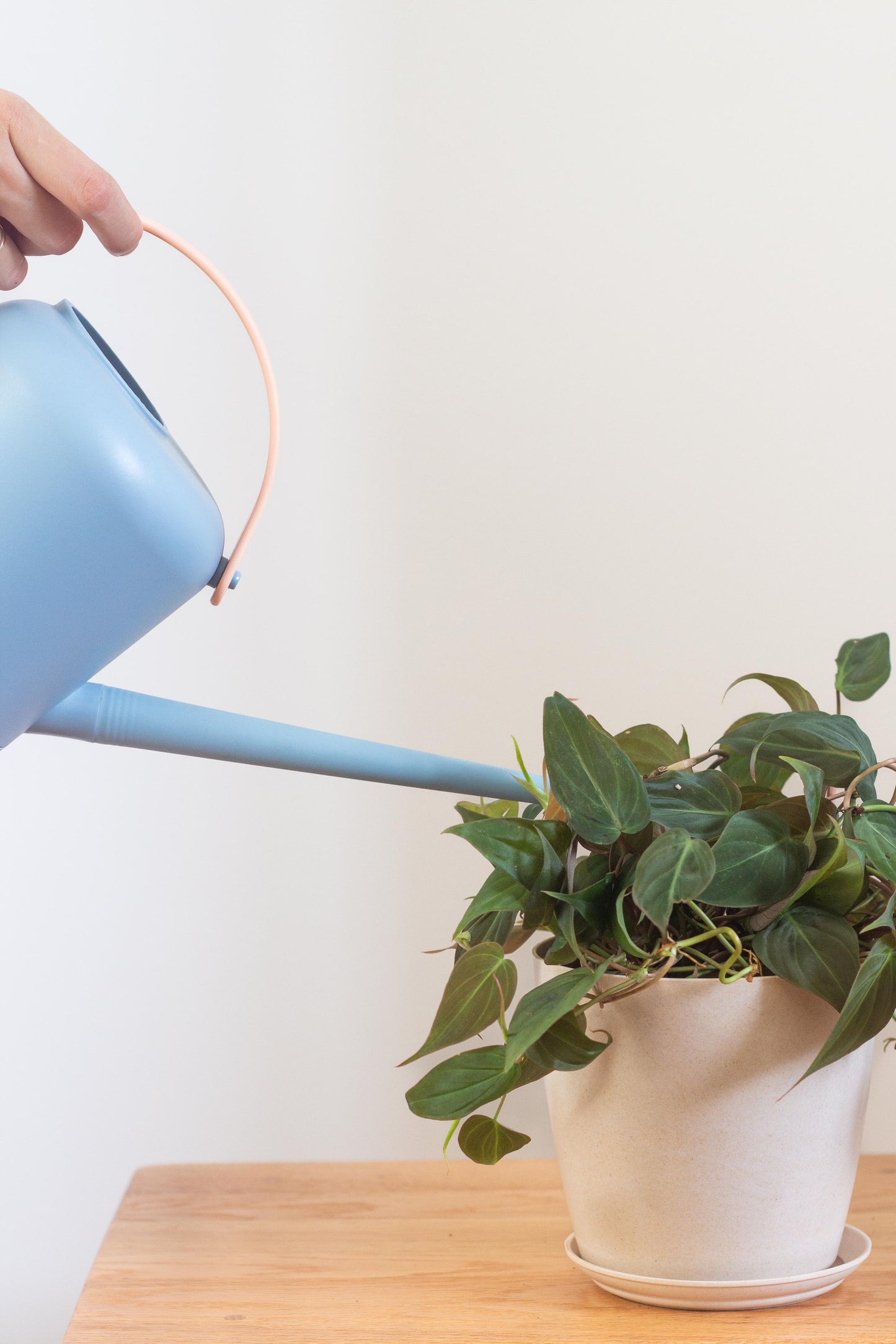 1.5L Watering Can