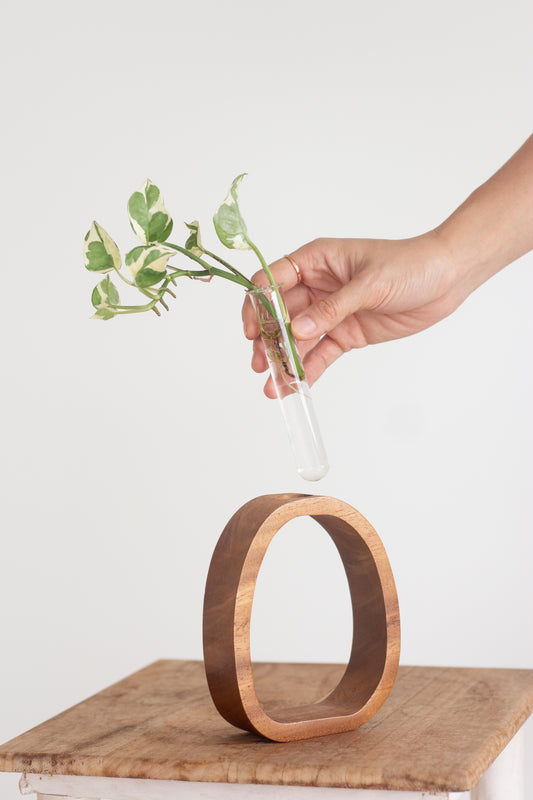 Propagation Vase