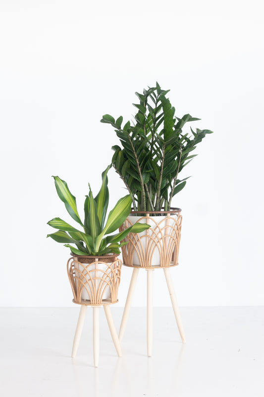 Workwell Plant Set
