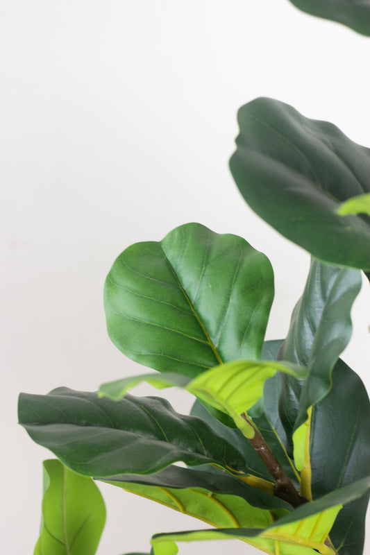 Faux Fiddle Leaf Fig