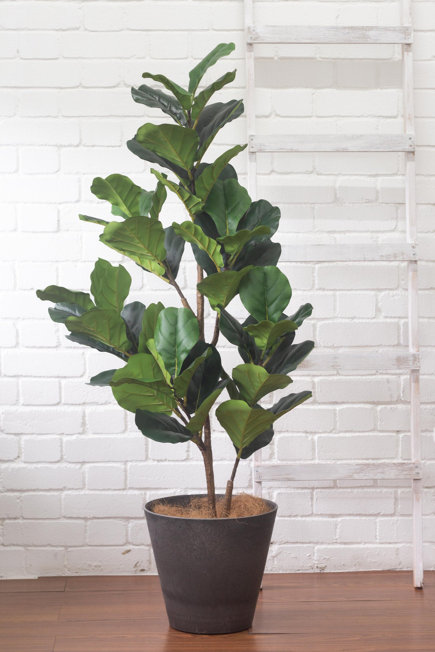grand faux fiddle leaf fig tree Faux Fiddle Leaf Fig – Bloomspace