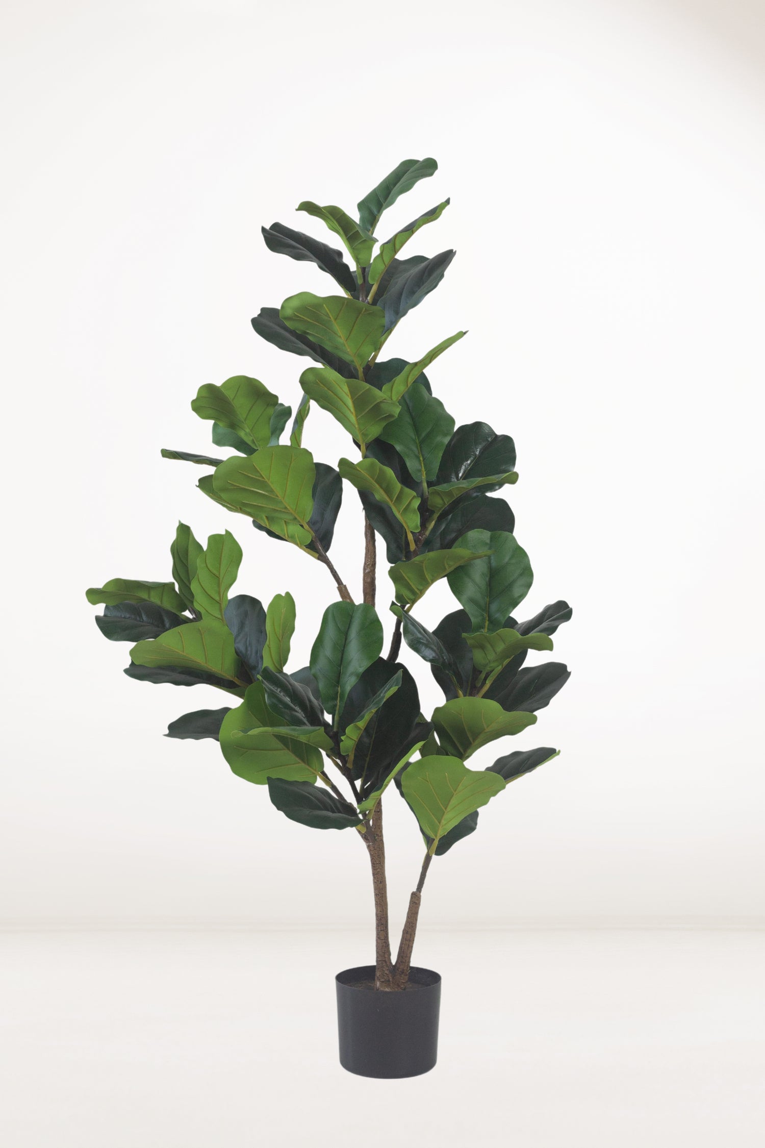 5' faux fiddle leaf fig tree Faux Fiddle Leaf Fig – Bloomspace