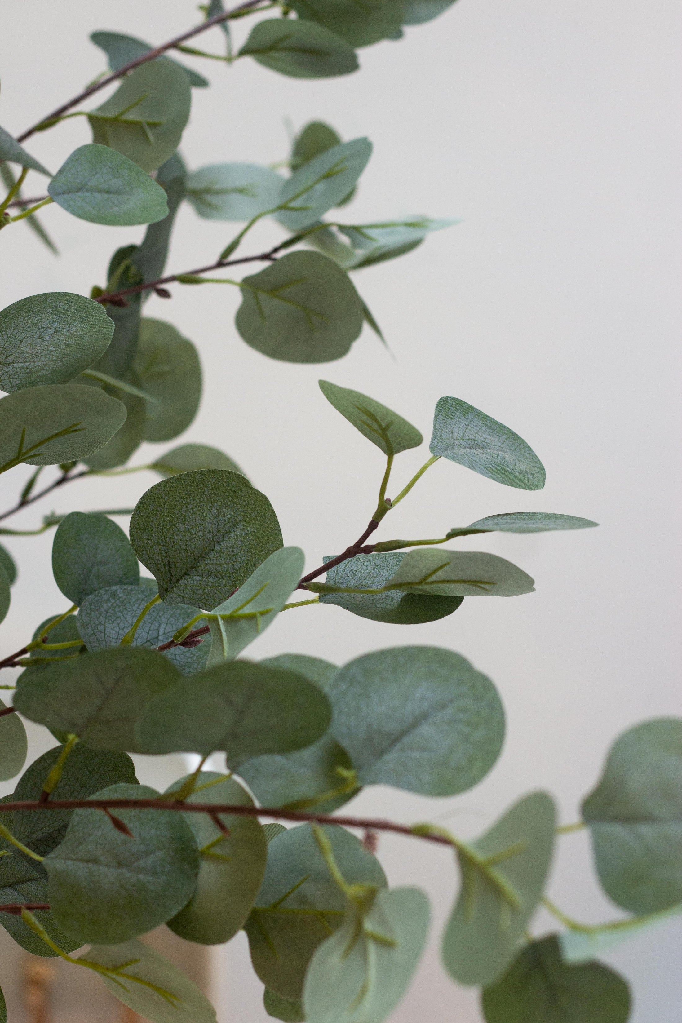 Faux Eucalyptus Tree Bloomspace