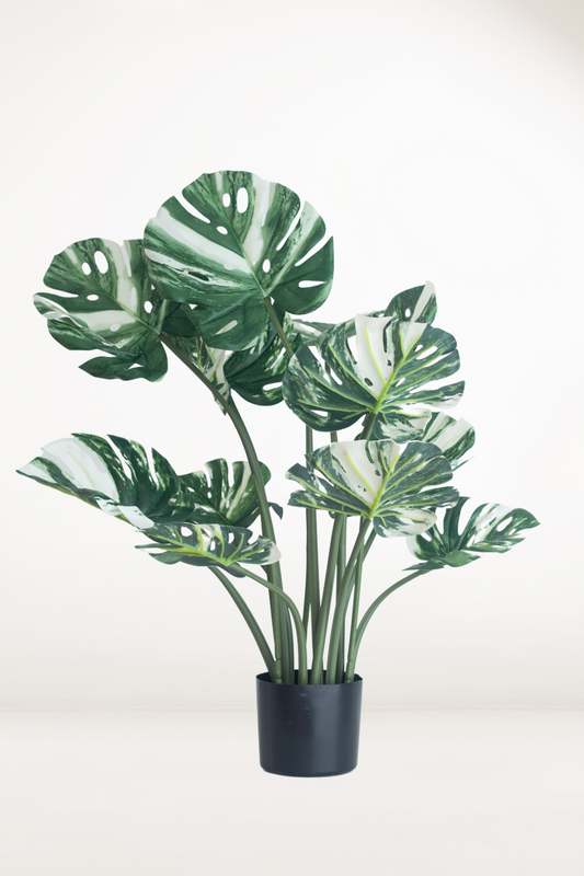 Faux Monstera Albo