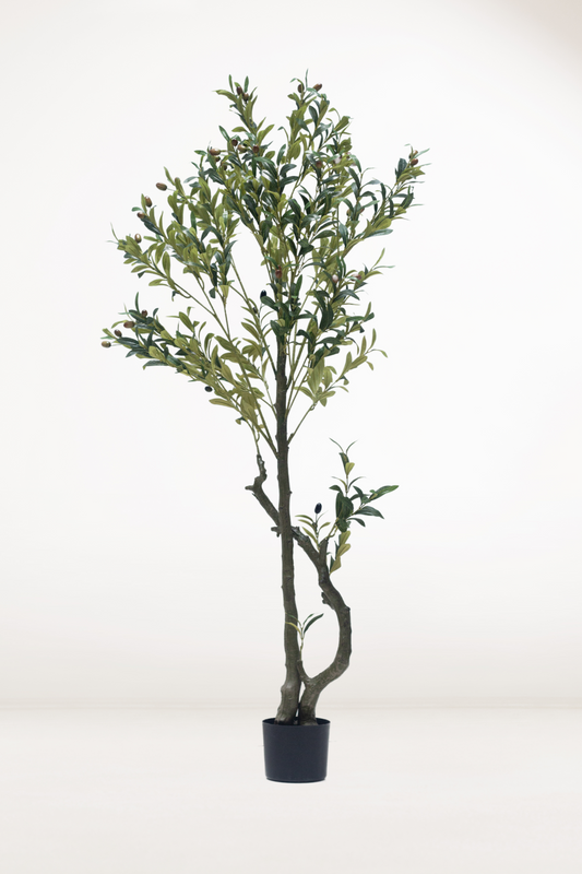 Faux Olive Tree