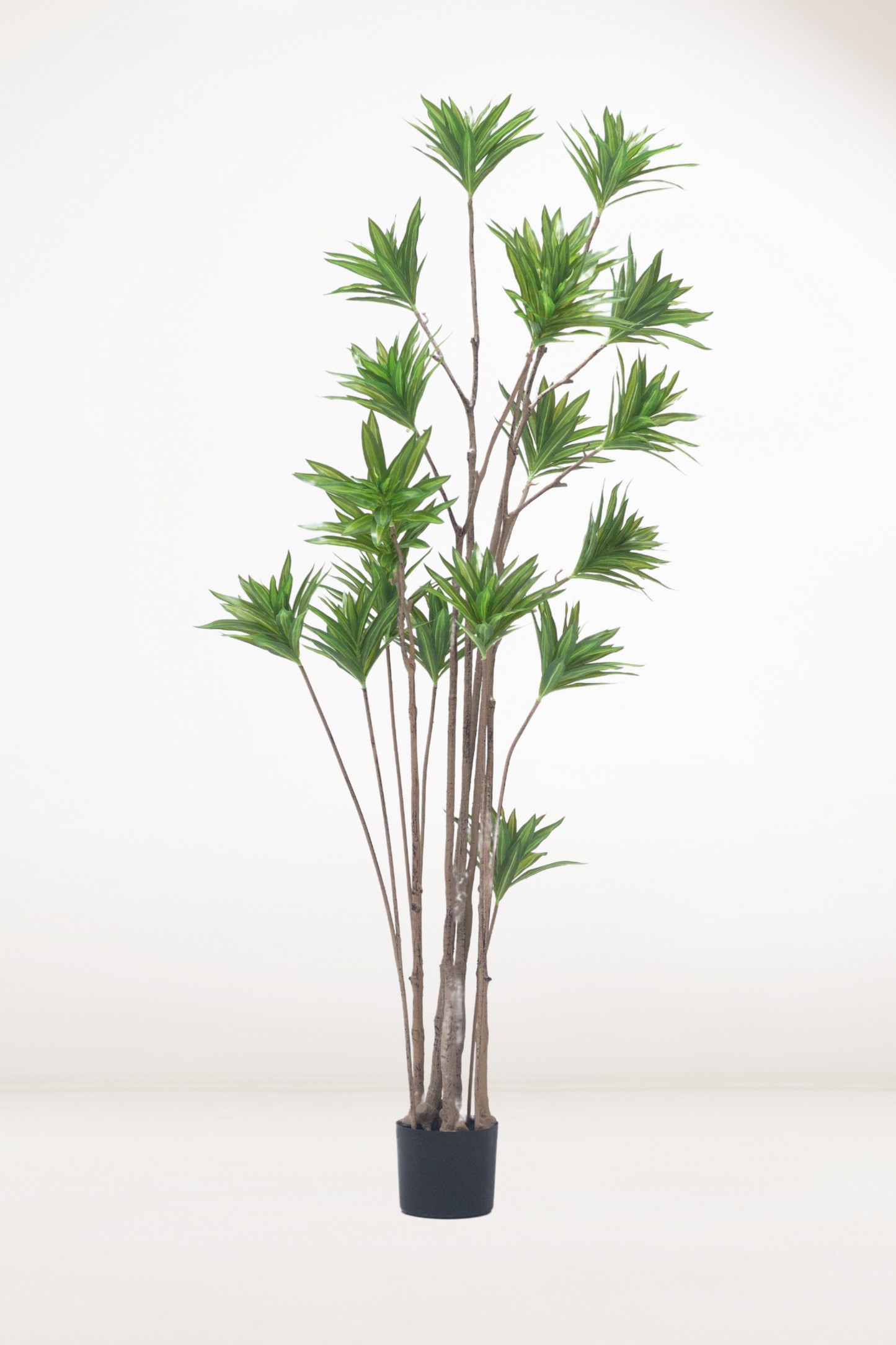 faux dracaena tree Faux Dracaena Tree – Bloomspace