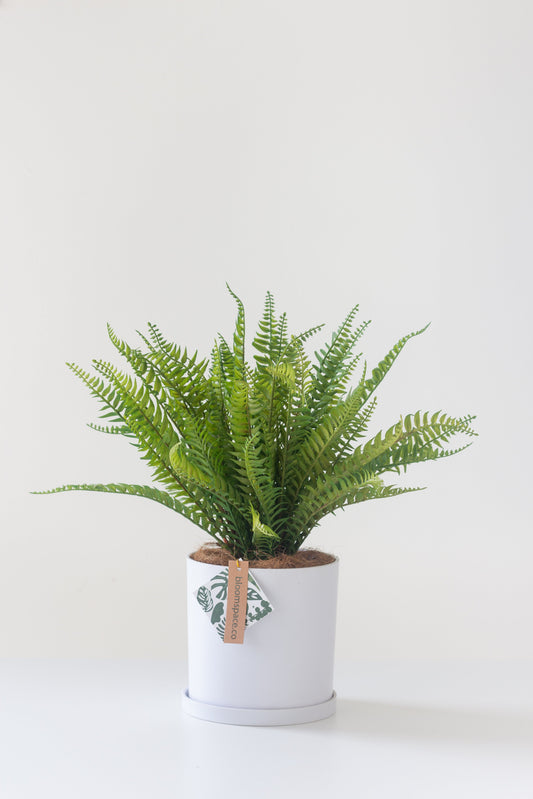 Faux Fern