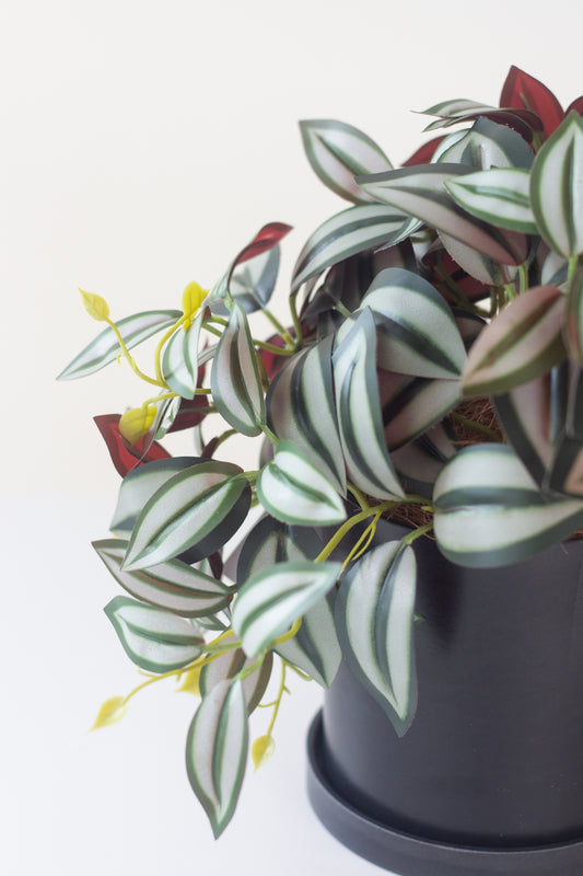 Faux Tradescantia Nanouk