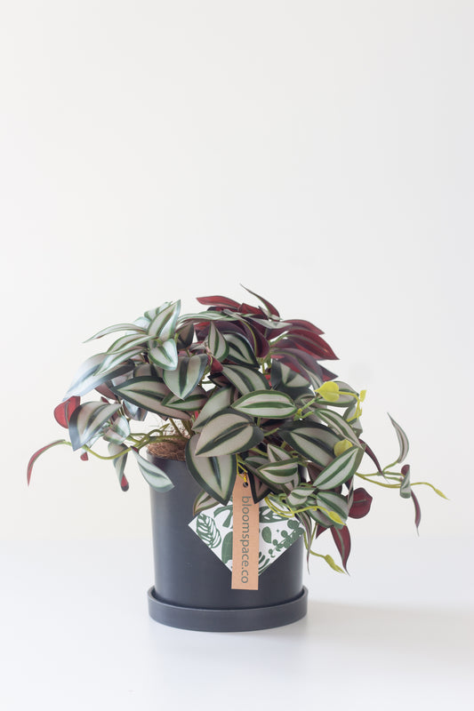 Faux Tradescantia Nanouk