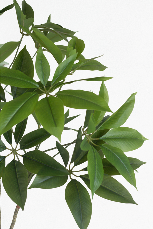 Faux Money Tree