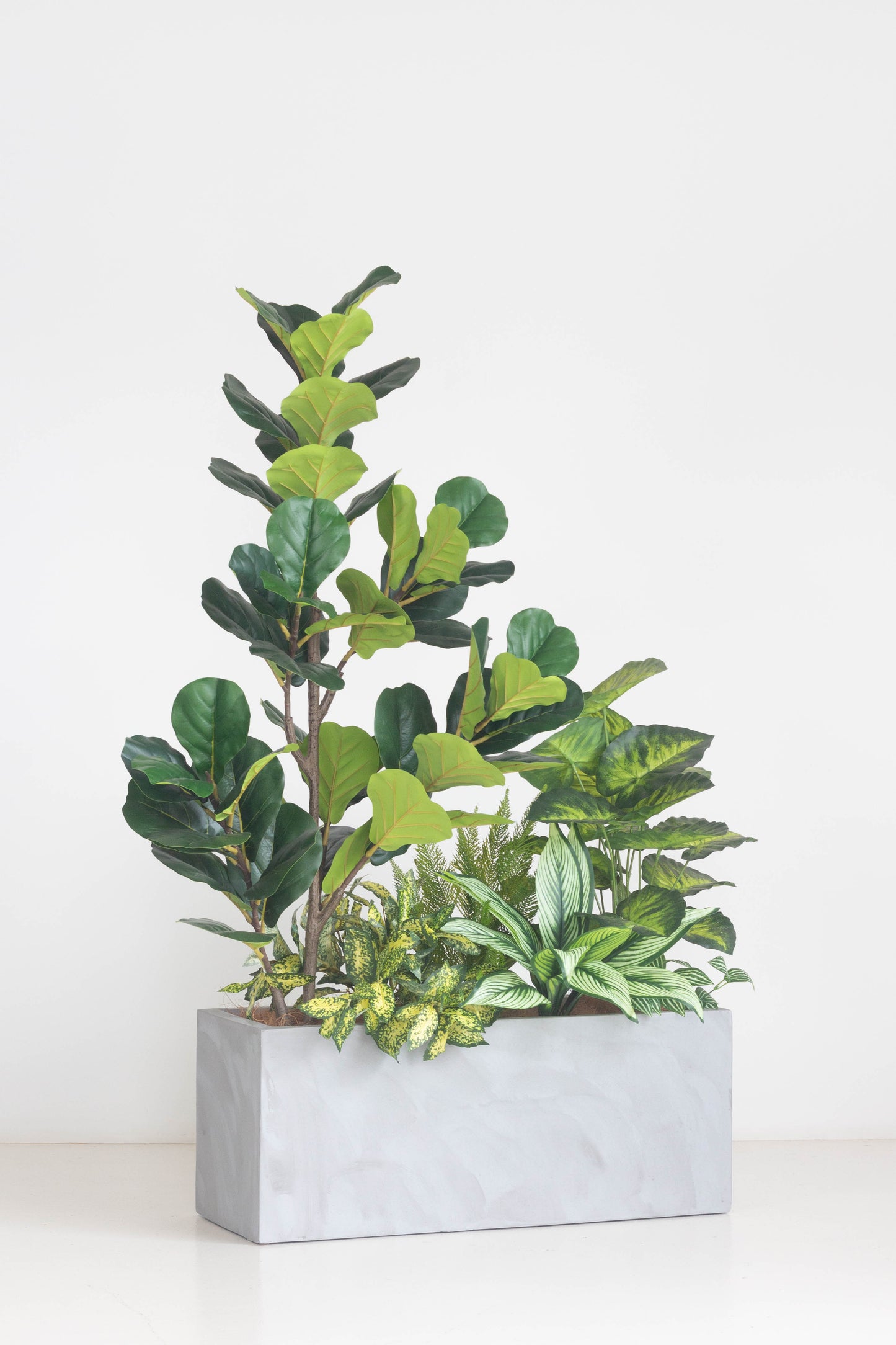 Urban Grove - Faux Plants